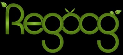 Regoog logo - energy saving search
